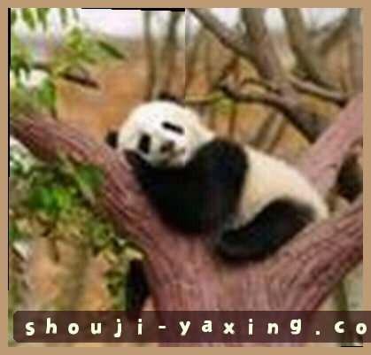 赵阳